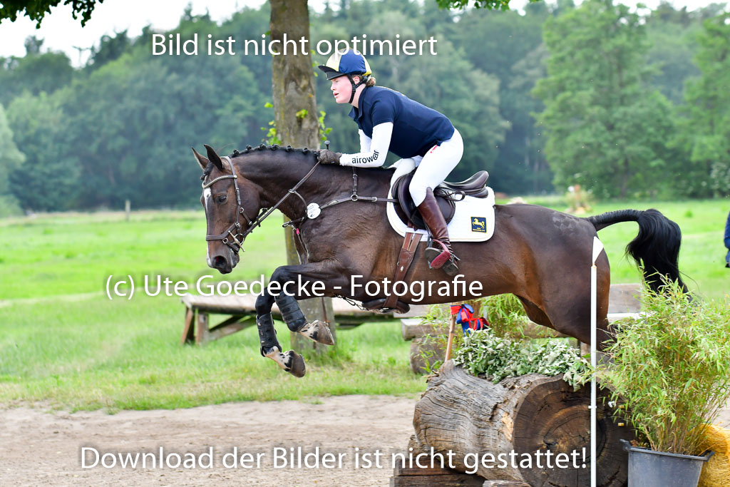 Goldene Schärpe PFerde  in Löningen  11+12.6.22 | 11062022 - Gelände 788 Abt 