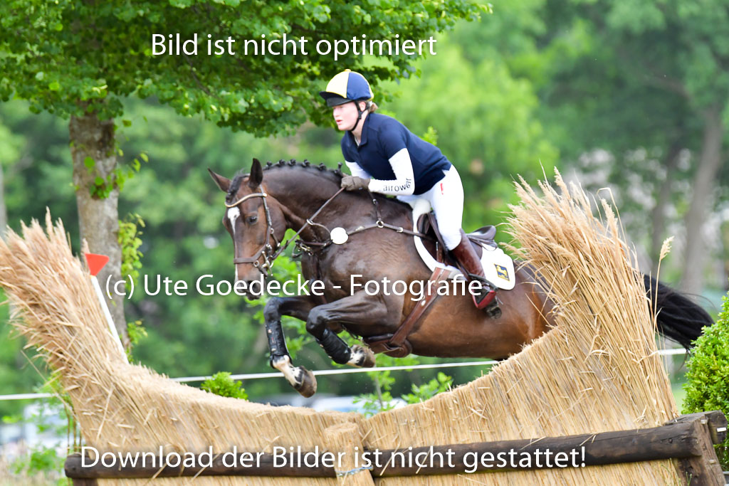 Goldene Schärpe PFerde  in Löningen  11+12.6.22 | 11062022 - Gelände 789 Abt 