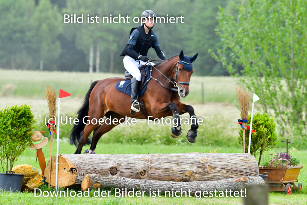 Goldene Schärpe PFerde  in Löningen  11+12.6.22 | 11062022 - Gelände 791 Abt 