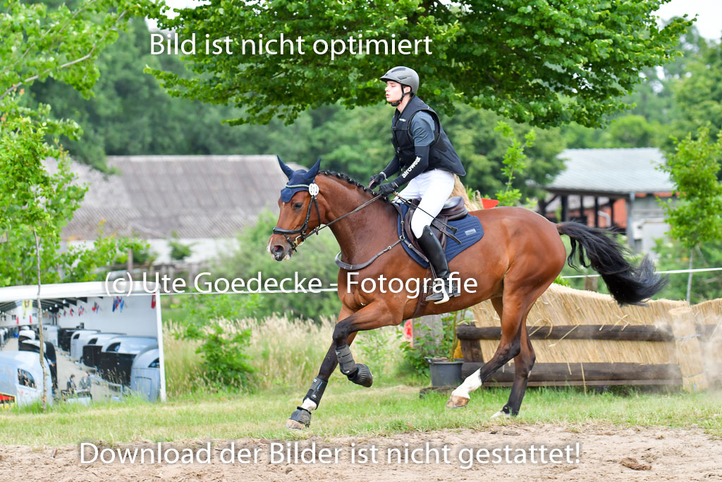 Goldene Schärpe PFerde  in Löningen  11+12.6.22 | 11062022 - Gelände 793 Abt 