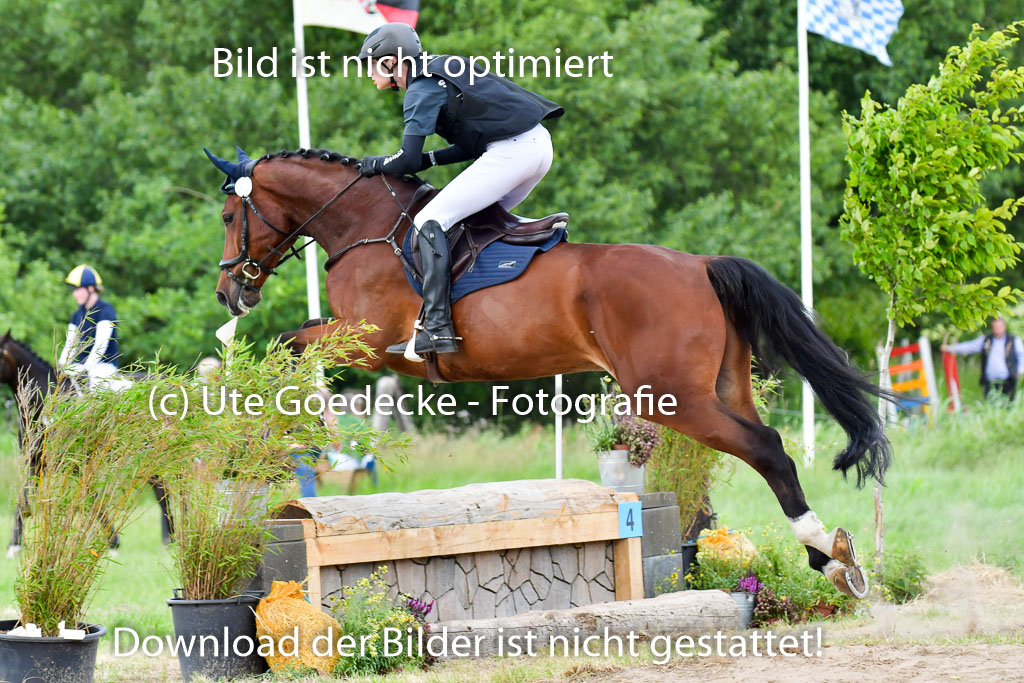 Goldene Schärpe PFerde  in Löningen  11+12.6.22 | 11062022 - Gelände 796 Abt 