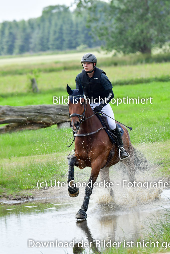 Goldene Schärpe PFerde  in Löningen  11+12.6.22 | 11062022 - Gelände 798 Abt 