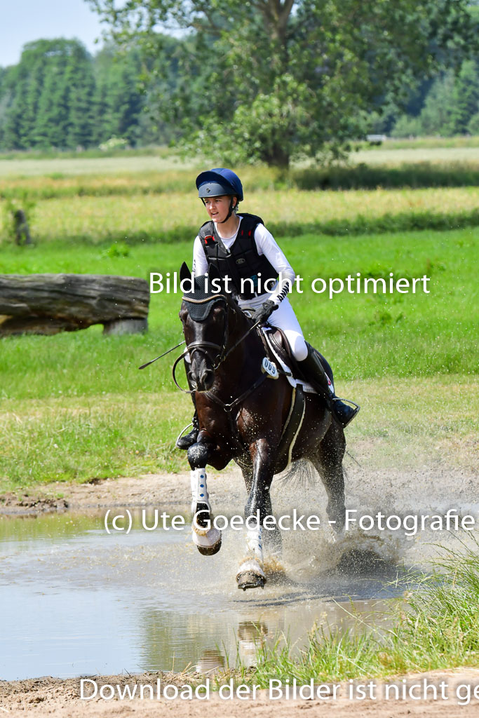 Goldene Schärpe PFerde  in Löningen  11+12.6.22 | 11062022 - Gelände 80 Abt 