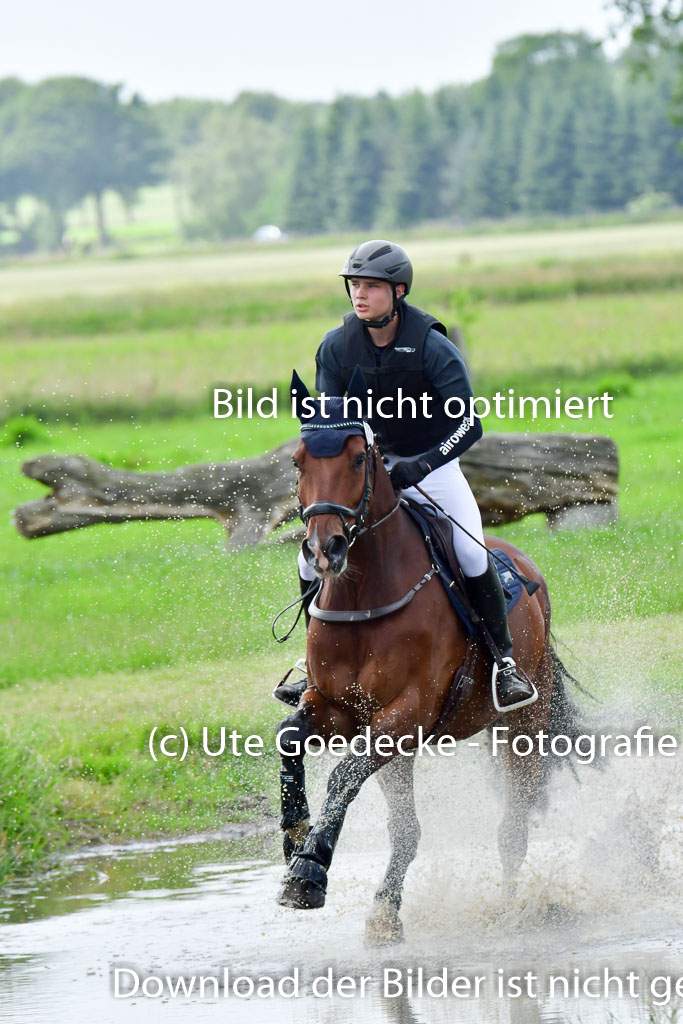 Goldene Schärpe PFerde  in Löningen  11+12.6.22 | 11062022 - Gelände 801 Abt 