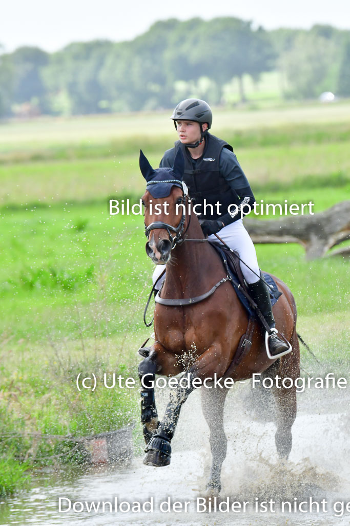 Goldene Schärpe PFerde  in Löningen  11+12.6.22 | 11062022 - Gelände 802 Abt