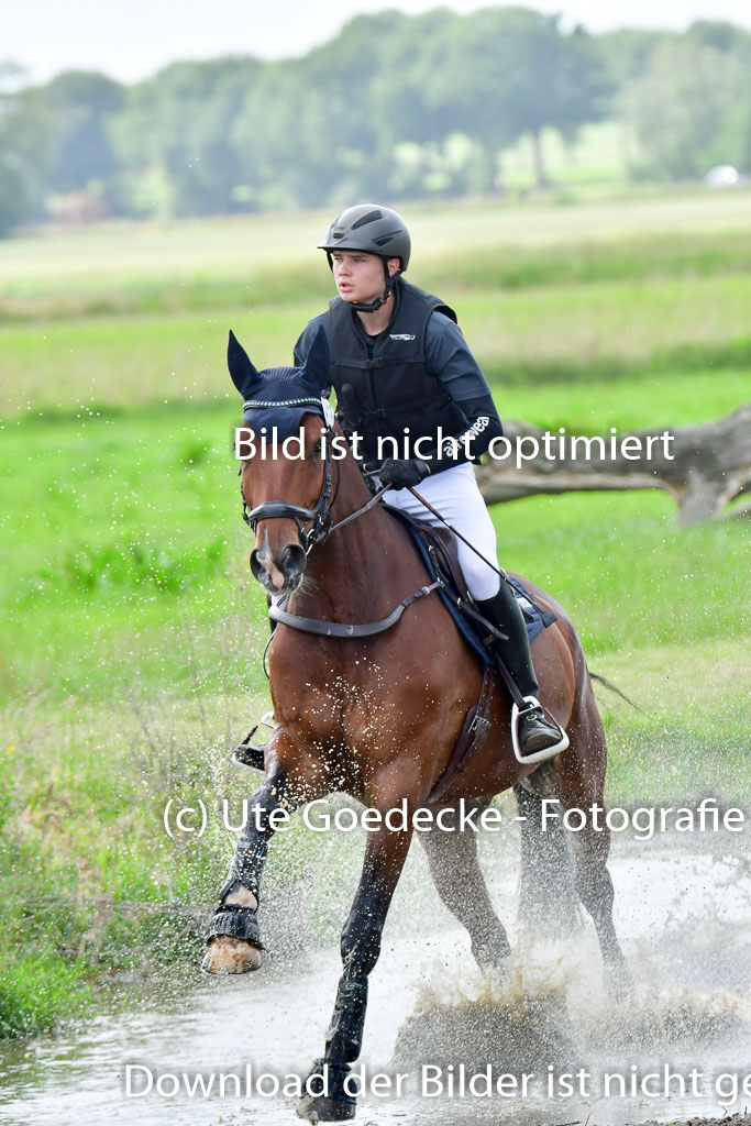 Goldene Schärpe PFerde  in Löningen  11+12.6.22 | 11062022 - Gelände 803 Abt 