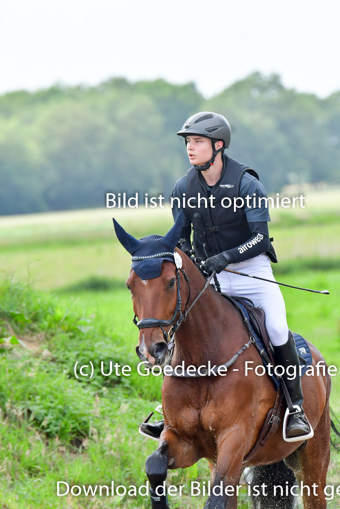 Goldene Schärpe PFerde  in Löningen  11+12.6.22 | 11062022 - Gelände 804 Abt 