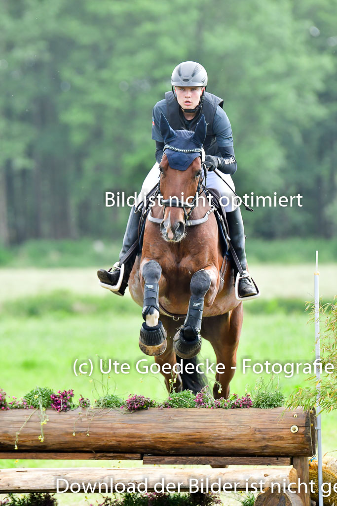 Goldene Schärpe PFerde  in Löningen  11+12.6.22 | 11062022 - Gelände 806 Abt