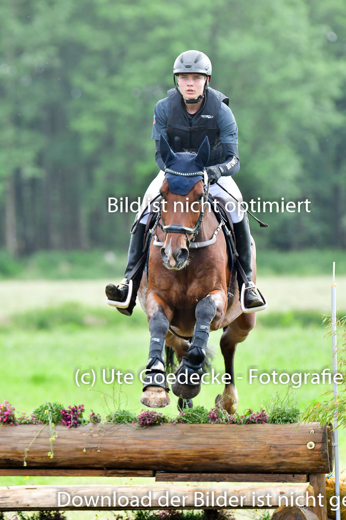 Goldene Schärpe PFerde  in Löningen  11+12.6.22 | 11062022 - Gelände 807 Abt