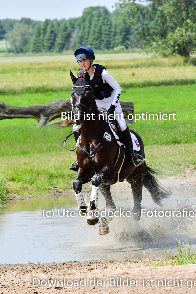 Goldene Schärpe PFerde  in Löningen  11+12.6.22 | 11062022 - Gelände 81 Abt 