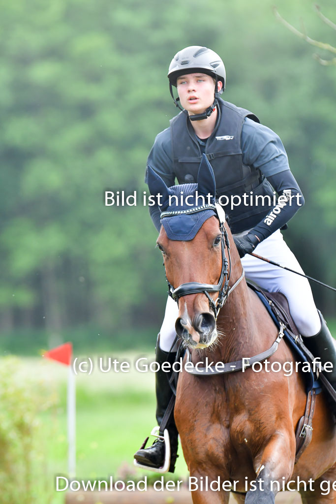 Goldene Schärpe PFerde  in Löningen  11+12.6.22 | 11062022 - Gelände 810 Abt 