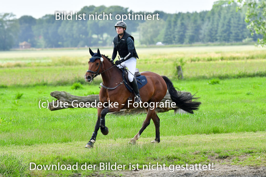 Goldene Schärpe PFerde  in Löningen  11+12.6.22 | 11062022 - Gelände 811 Abt