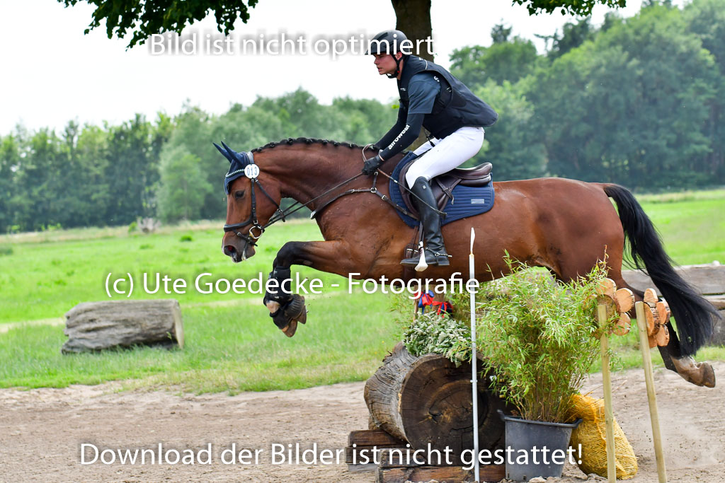Goldene Schärpe PFerde  in Löningen  11+12.6.22 | 11062022 - Gelände 814 Abt 