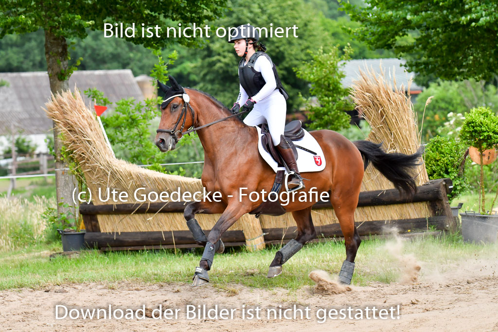 Goldene Schärpe PFerde  in Löningen  11+12.6.22 | 11062022 - Gelände 817 Abt 