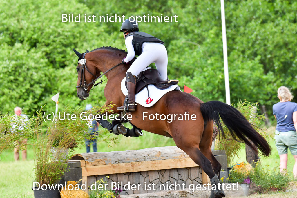 Goldene Schärpe PFerde  in Löningen  11+12.6.22 | 11062022 - Gelände 818 Abt