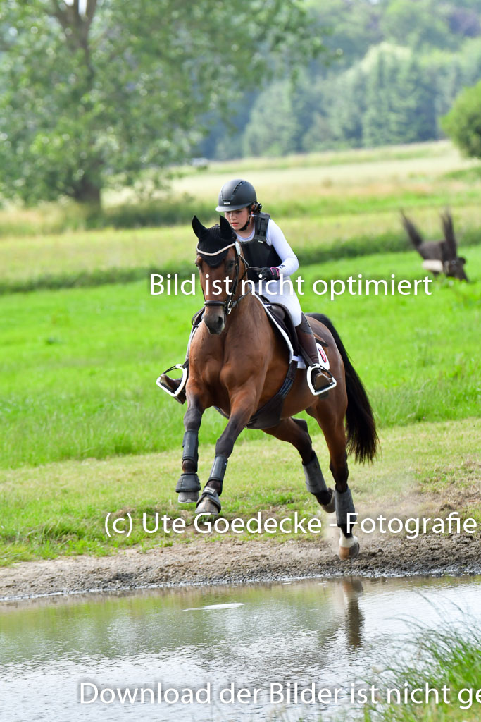 Goldene Schärpe PFerde  in Löningen  11+12.6.22 | 11062022 - Gelände 819 Abt
