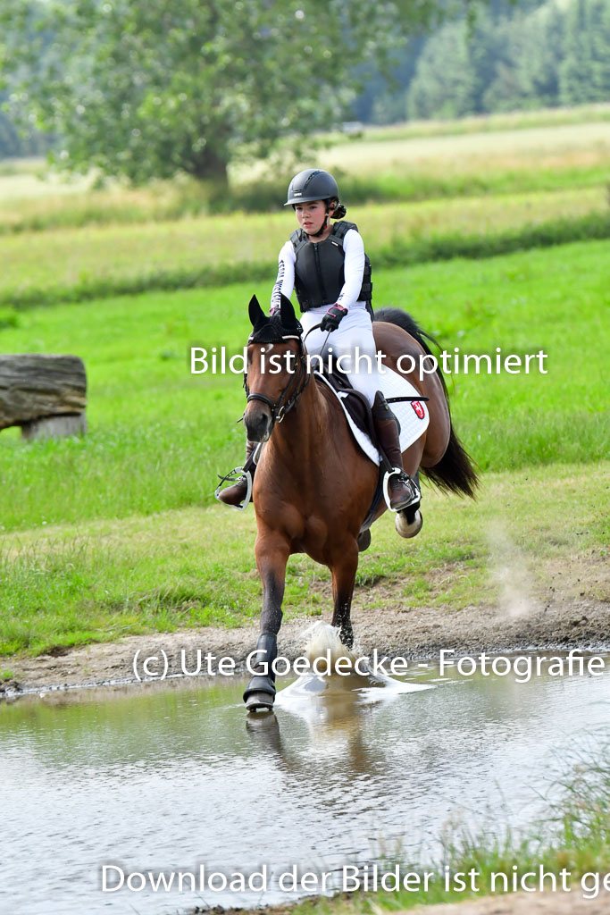 Goldene Schärpe PFerde  in Löningen  11+12.6.22 | 11062022 - Gelände 820 Abt