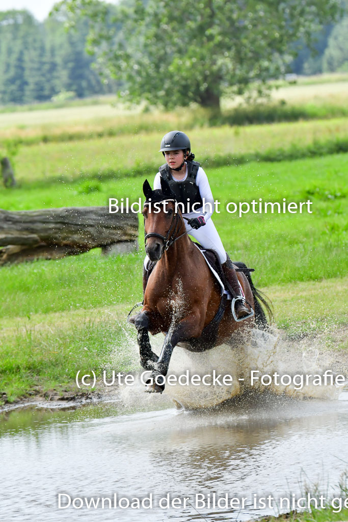 Goldene Schärpe PFerde  in Löningen  11+12.6.22 | 11062022 - Gelände 823 Abt 