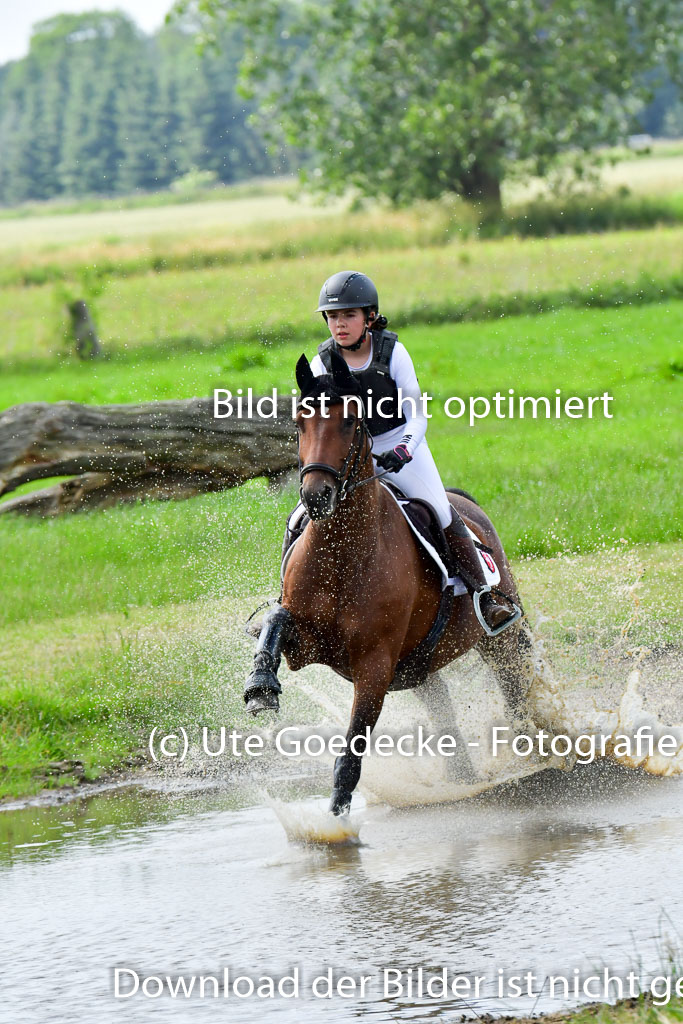 Goldene Schärpe PFerde  in Löningen  11+12.6.22 | 11062022 - Gelände 824 Abt 