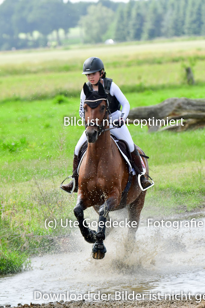 Goldene Schärpe PFerde  in Löningen  11+12.6.22 | 11062022 - Gelände 827 Abt 