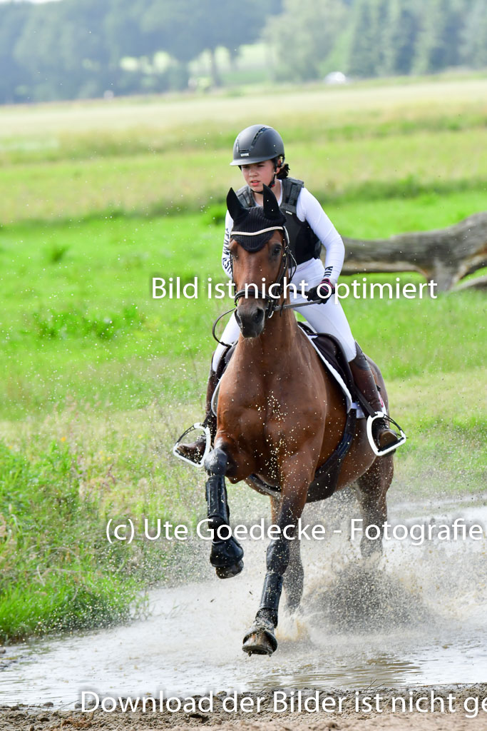 Goldene Schärpe PFerde  in Löningen  11+12.6.22 | 11062022 - Gelände 828 Abt 