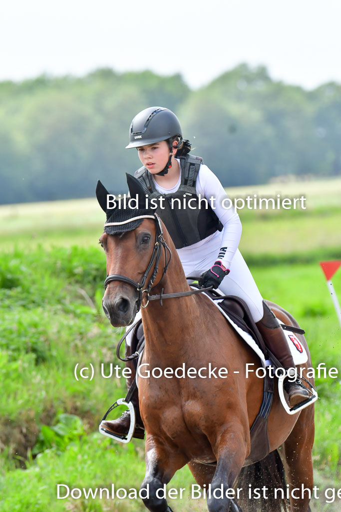 Goldene Schärpe PFerde  in Löningen  11+12.6.22 | 11062022 - Gelände 829 Abt 
