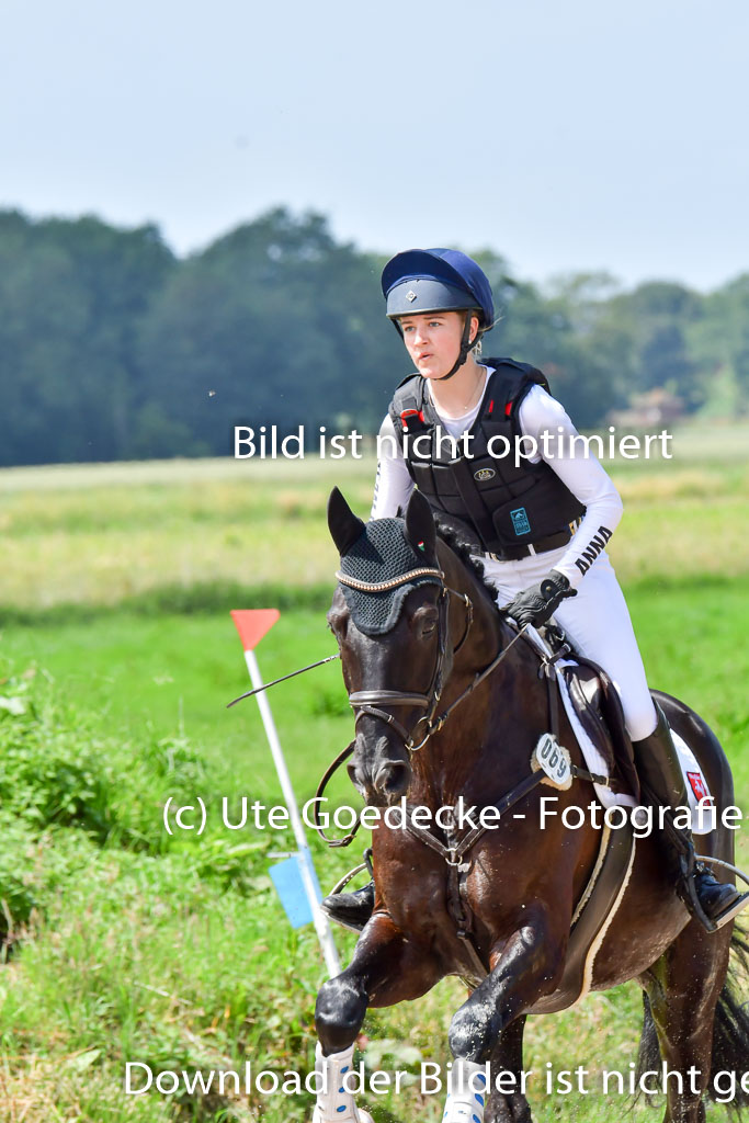 Goldene Schärpe PFerde  in Löningen  11+12.6.22 | 11062022 - Gelände 83 Abt