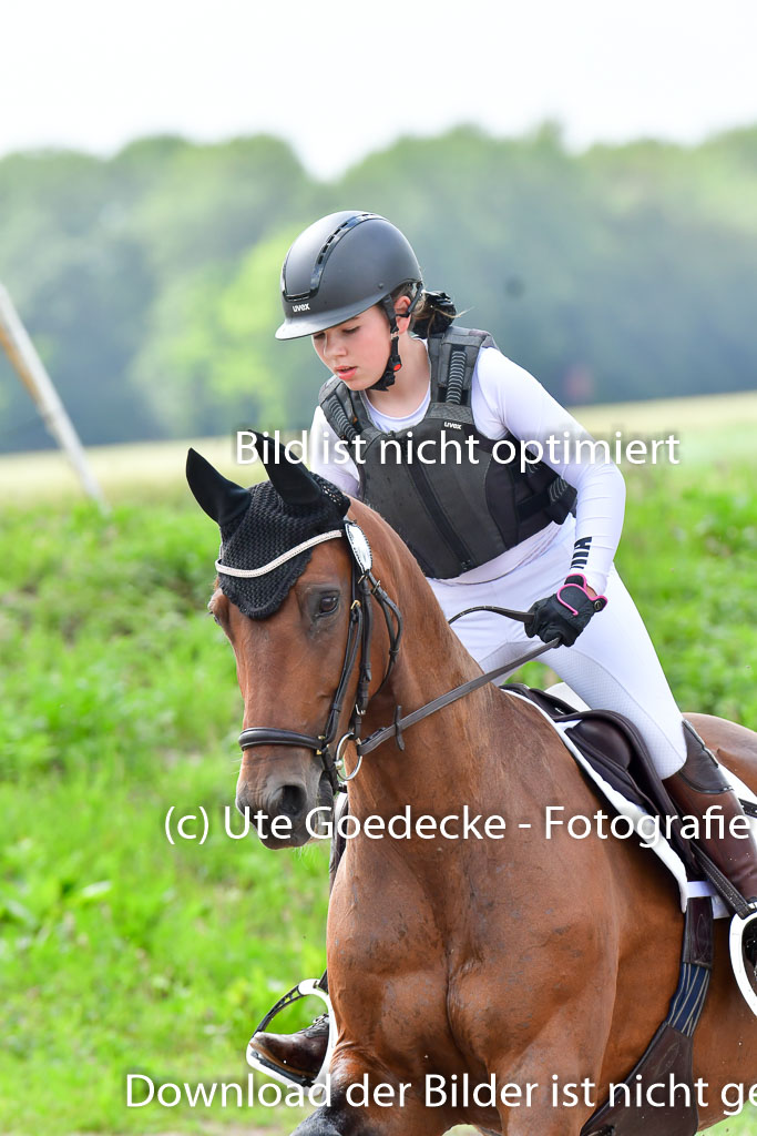 Goldene Schärpe PFerde  in Löningen  11+12.6.22 | 11062022 - Gelände 830 Abt
