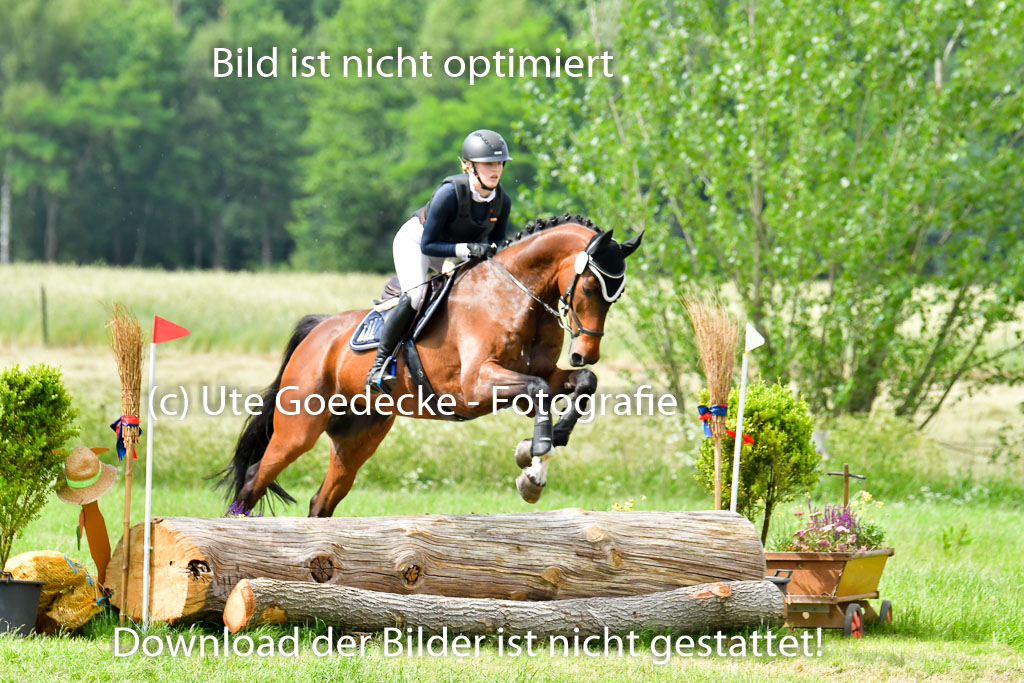 Goldene Schärpe PFerde  in Löningen  11+12.6.22 | 11062022 - Gelände 833 Abt 