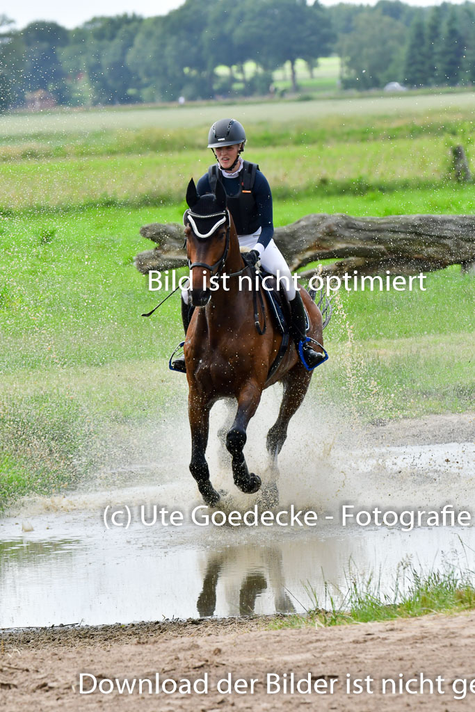 Goldene Schärpe PFerde  in Löningen  11+12.6.22 | 11062022 - Gelände 838 Abt 