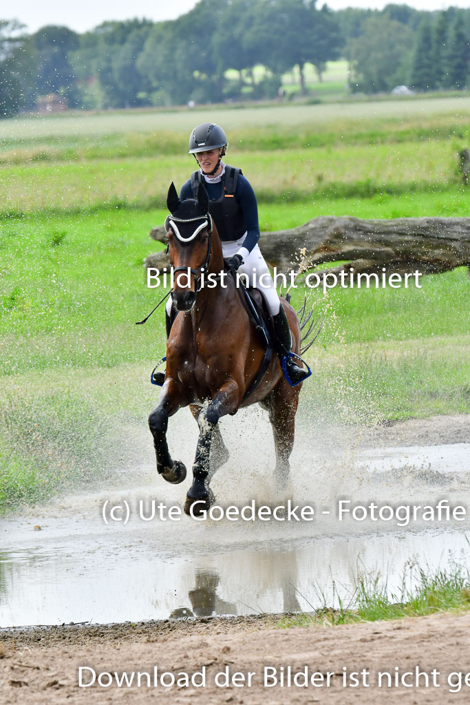 Goldene Schärpe PFerde  in Löningen  11+12.6.22 | 11062022 - Gelände 839 Abt 