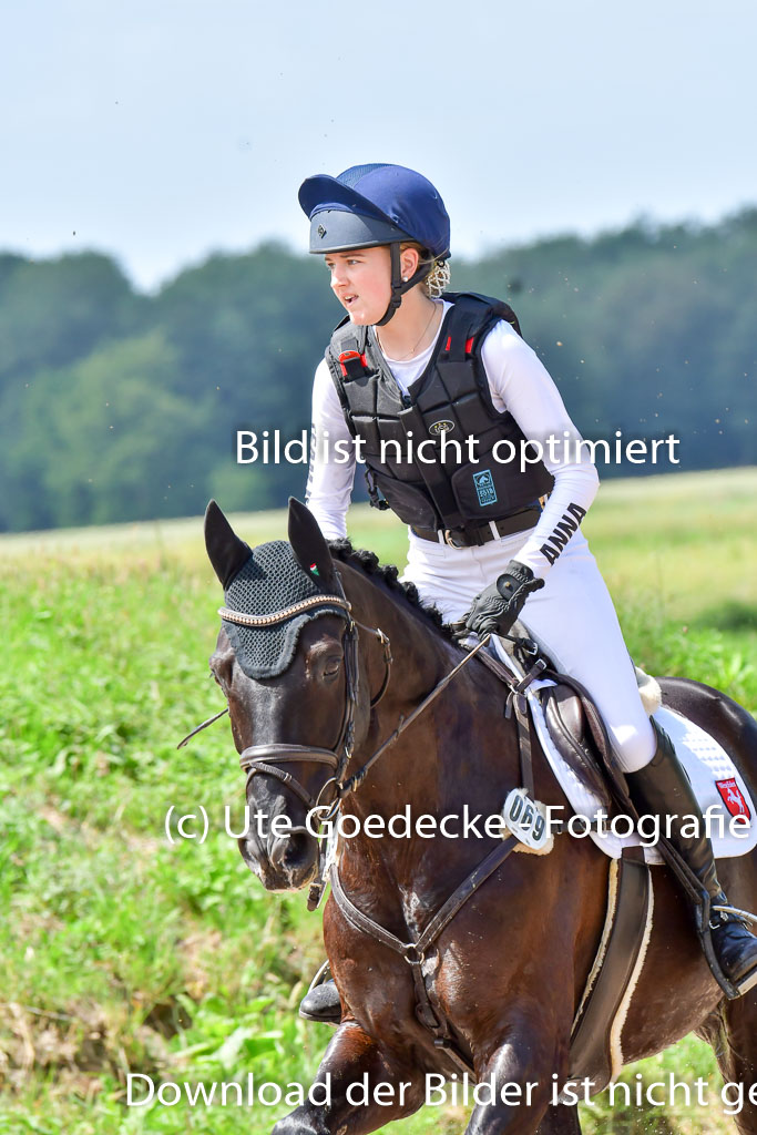 Goldene Schärpe PFerde  in Löningen  11+12.6.22 | 11062022 - Gelände 84 Abt 