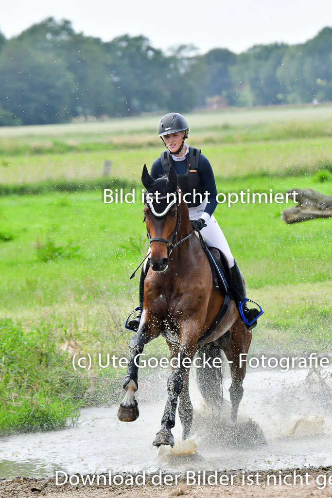 Goldene Schärpe PFerde  in Löningen  11+12.6.22 | 11062022 - Gelände 842 Abt