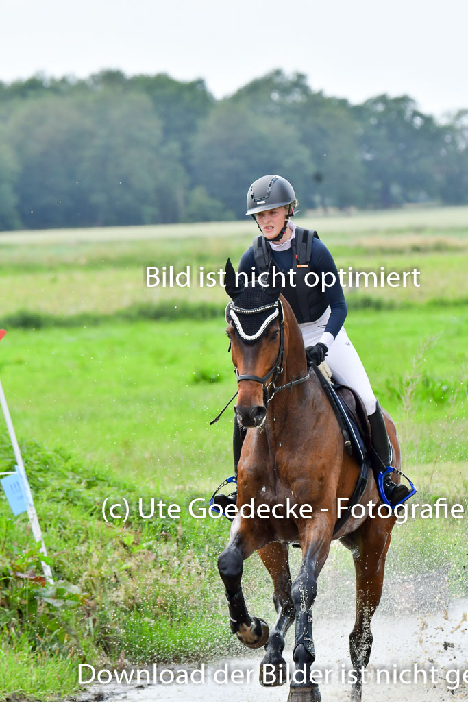 Goldene Schärpe PFerde  in Löningen  11+12.6.22 | 11062022 - Gelände 843 Abt