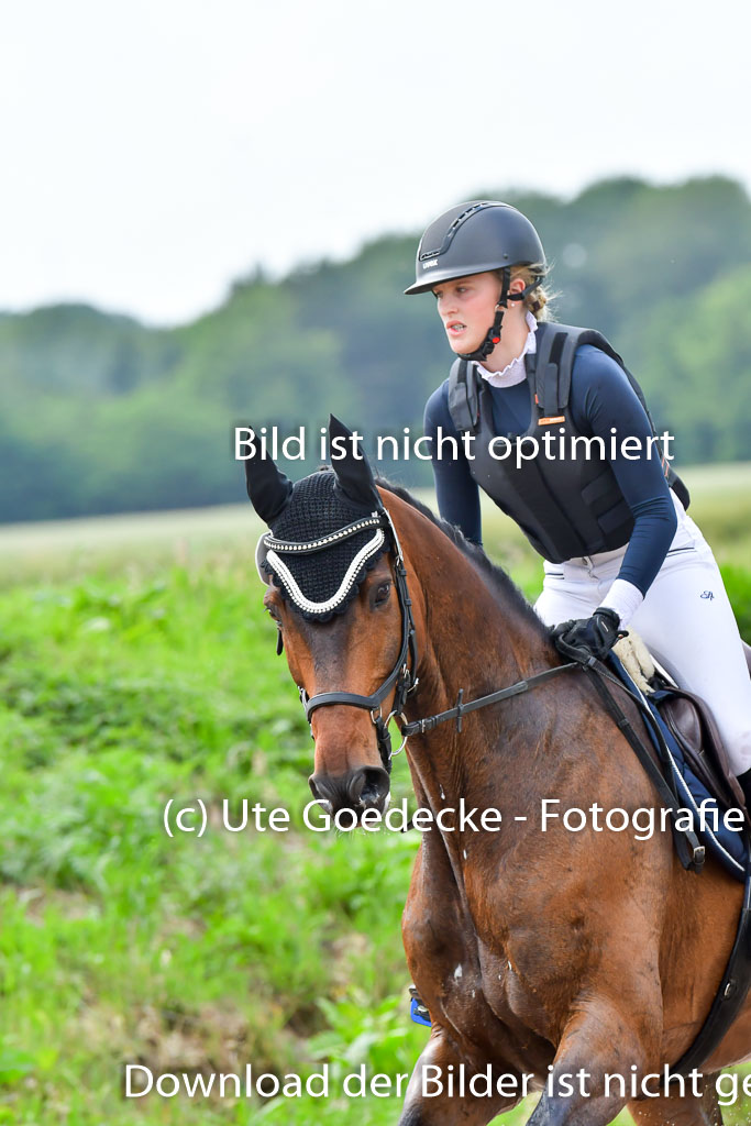 Goldene Schärpe PFerde  in Löningen  11+12.6.22 | 11062022 - Gelände 844 Abt 