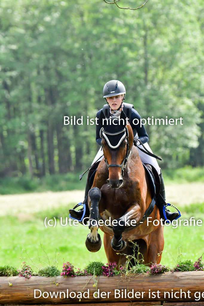 Goldene Schärpe PFerde  in Löningen  11+12.6.22 | 11062022 - Gelände 845 Abt 
