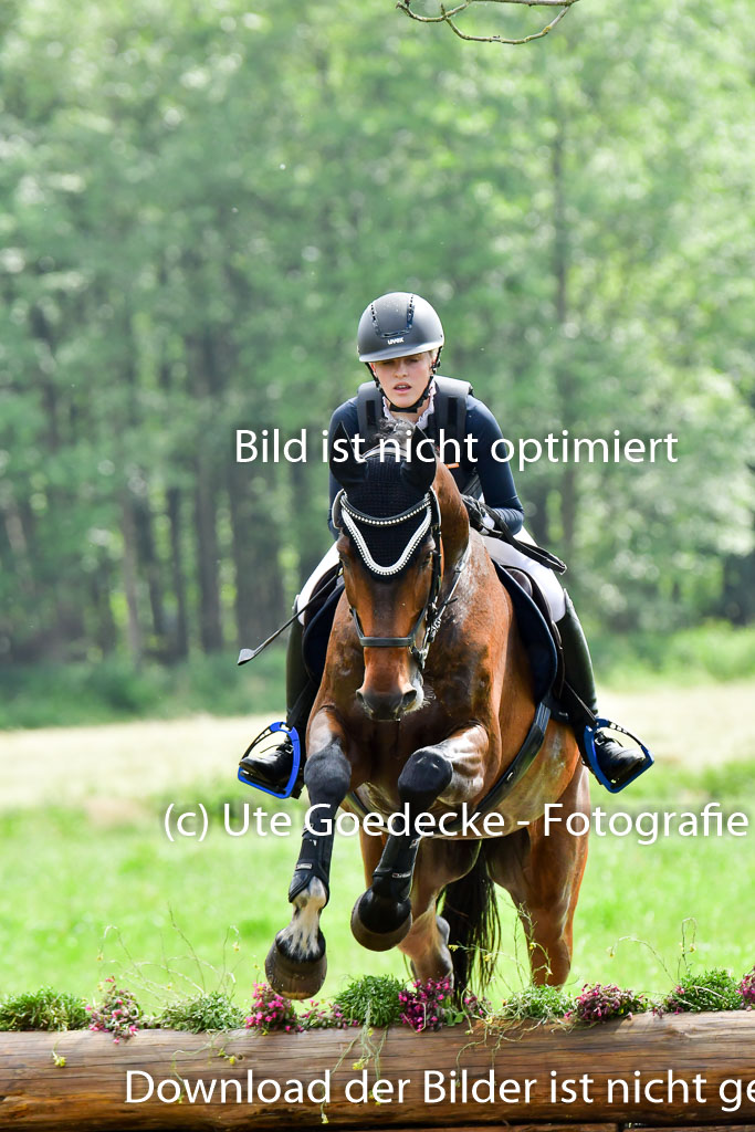 Goldene Schärpe PFerde  in Löningen  11+12.6.22 | 11062022 - Gelände 846 Abt 
