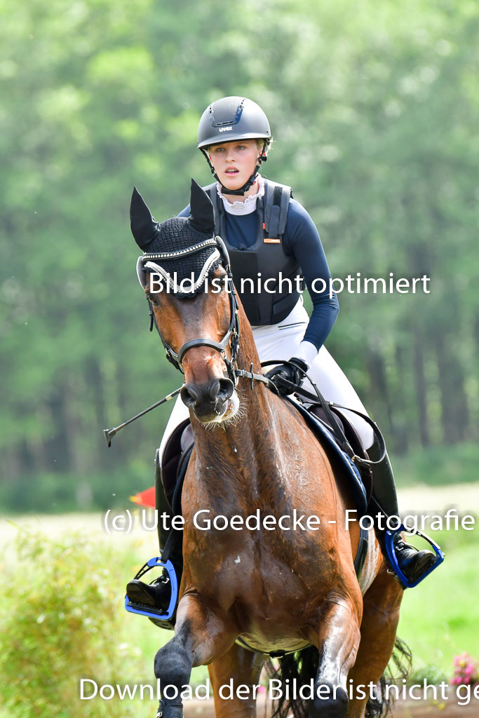 Goldene Schärpe PFerde  in Löningen  11+12.6.22 | 11062022 - Gelände 848 Abt 
