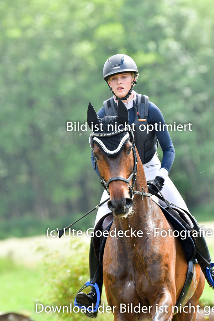 Goldene Schärpe PFerde  in Löningen  11+12.6.22 | 11062022 - Gelände 849 Abt 