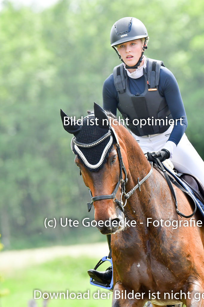 Goldene Schärpe PFerde  in Löningen  11+12.6.22 | 11062022 - Gelände 850 Abt 
