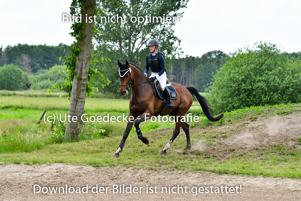 Goldene Schärpe PFerde  in Löningen  11+12.6.22 | 11062022 - Gelände 854 Abt 