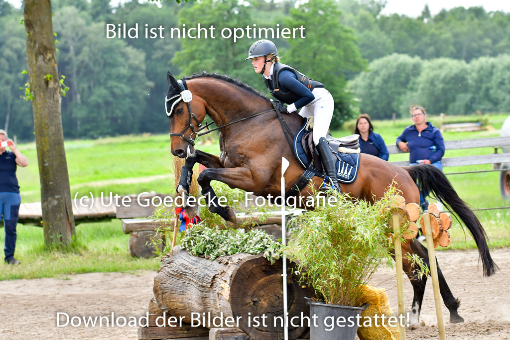 Goldene Schärpe PFerde  in Löningen  11+12.6.22 | 11062022 - Gelände 855 Abt 