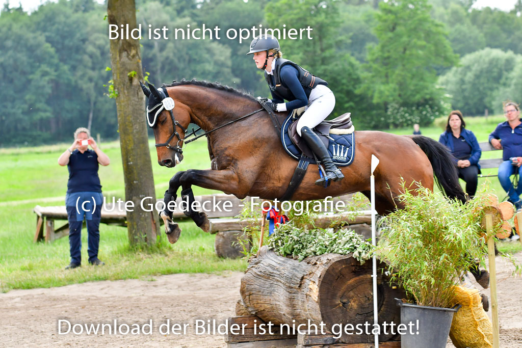 Goldene Schärpe PFerde  in Löningen  11+12.6.22 | 11062022 - Gelände 856 Abt 