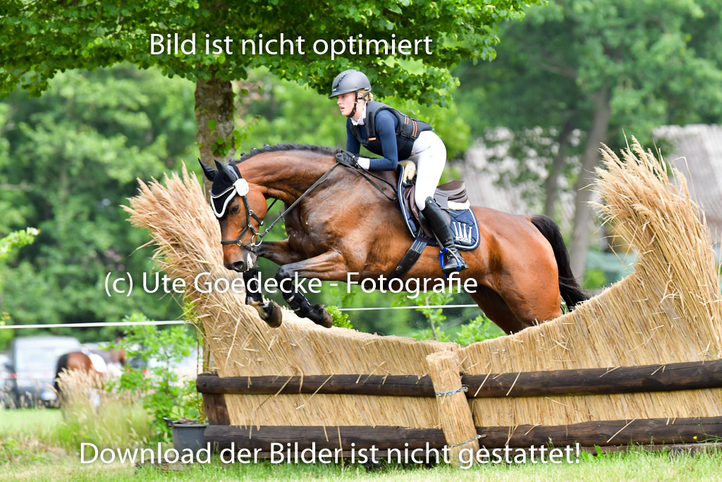 Goldene Schärpe PFerde  in Löningen  11+12.6.22 | 11062022 - Gelände 858 Abt 