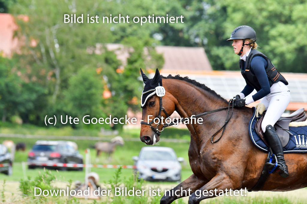 Goldene Schärpe PFerde  in Löningen  11+12.6.22 | 11062022 - Gelände 859 Abt 