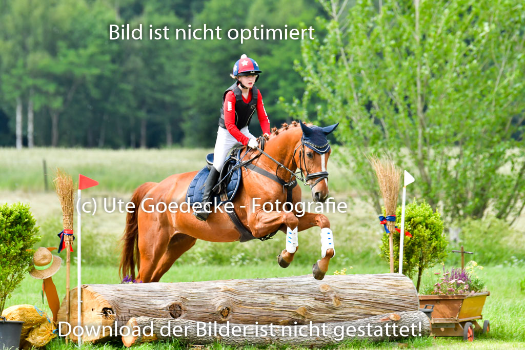 Goldene Schärpe PFerde  in Löningen  11+12.6.22 | 11062022 - Gelände 861 Abt