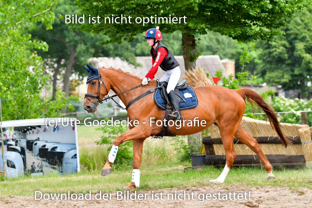 Goldene Schärpe PFerde  in Löningen  11+12.6.22 | 11062022 - Gelände 864 Abt 