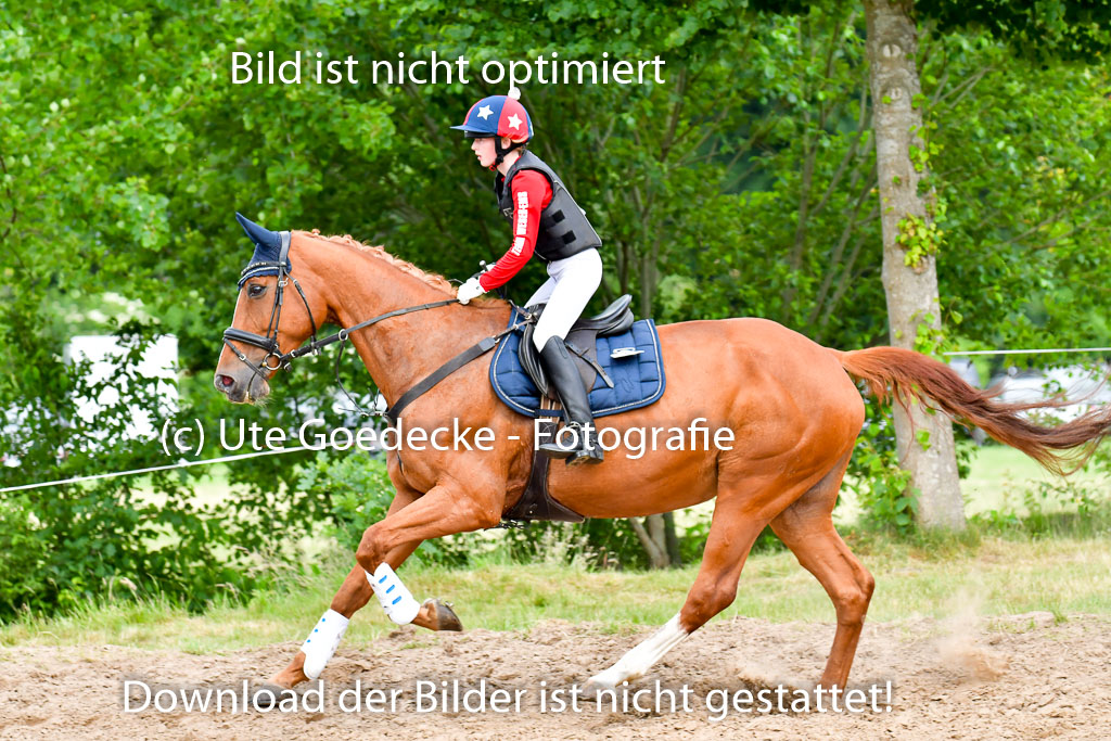 Goldene Schärpe PFerde  in Löningen  11+12.6.22 | 11062022 - Gelände 865 Abt