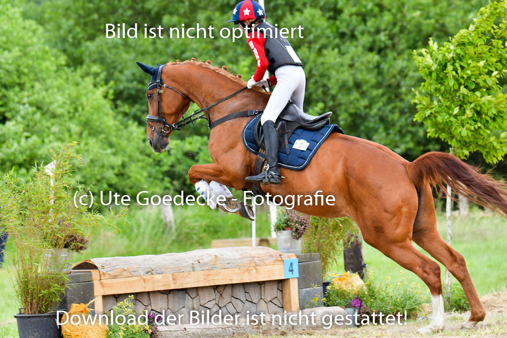 Goldene Schärpe PFerde  in Löningen  11+12.6.22 | 11062022 - Gelände 866 Abt 