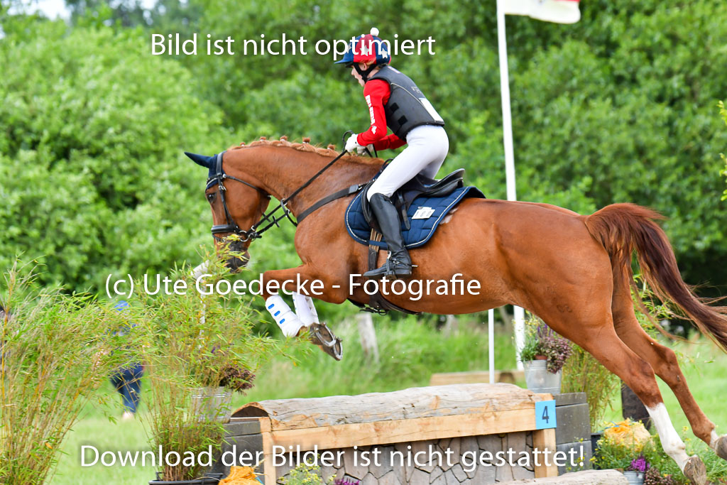 Goldene Schärpe PFerde  in Löningen  11+12.6.22 | 11062022 - Gelände 867 Abt